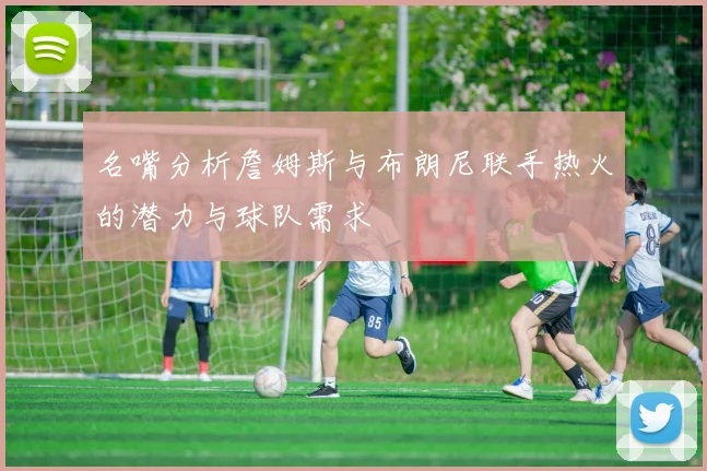 名嘴分析詹姆斯与布朗尼联手热火的潜力与球队需求
